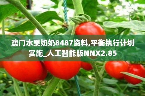 澳門水果奶奶8487資料,平衡執(zhí)行計劃實施_人工智能版NNX2.85