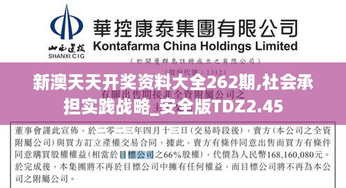 新澳天天開獎資料大全262期,社會承擔(dān)實踐戰(zhàn)略_安全版TDZ2.45