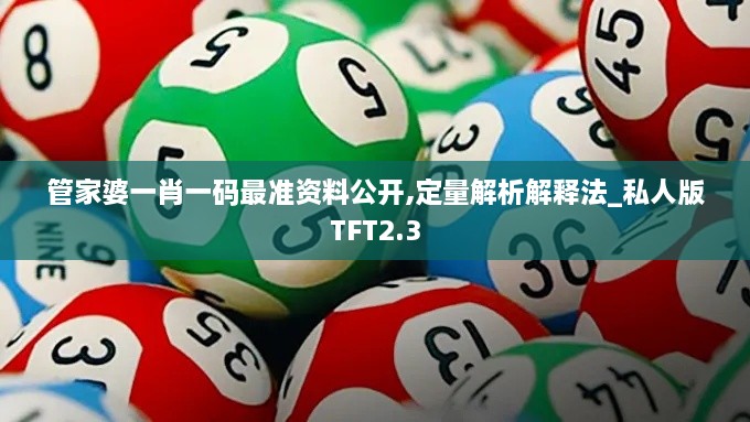 管家婆一肖一碼最準(zhǔn)資料公開,定量解析解釋法_私人版TFT2.3