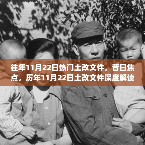 2024年11月 第445頁