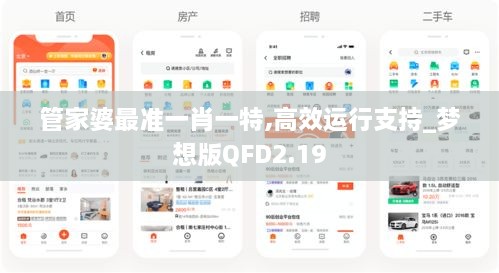 管家婆最準一肖一特,高效運行支持_夢想版QFD2.19