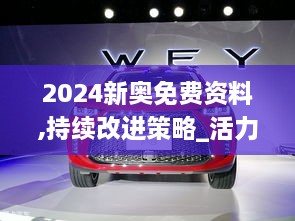 2024新奧免費資料,持續(xù)改進策略_活力版MZR2.99