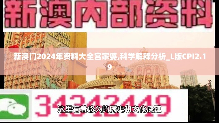 新澳門(mén)2024年資料大全宮家婆,科學(xué)解釋分析_L版CPI2.19