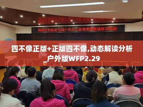 四不像正版+正版四不像,動態(tài)解讀分析_戶外版WFP2.29