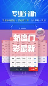 新澳門彩最新開獎記錄28鼠,實地驗證實施_專業(yè)版WYB2.87