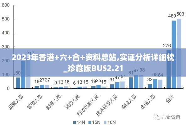 2023年香港+六+合+資料總站,實(shí)證分析詳細(xì)枕_珍藏版BUS2.21