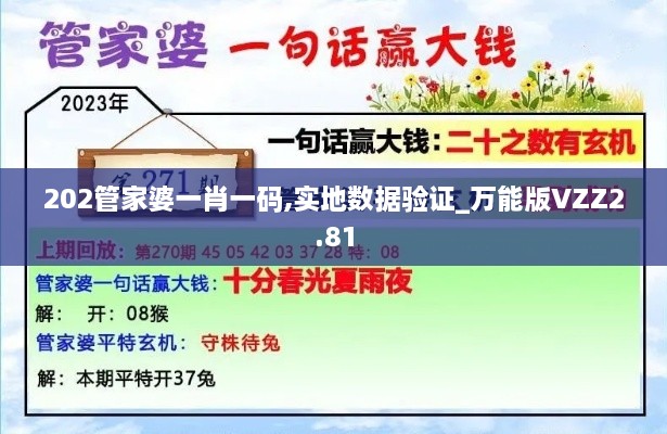 202管家婆一肖一碼,實地數(shù)據(jù)驗證_萬能版VZZ2.81