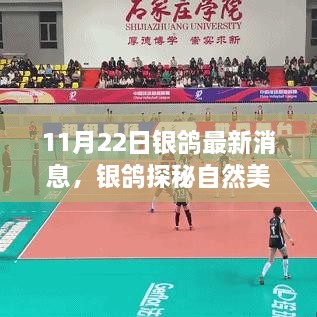 銀鴿啟程，探尋自然美景，心靈寧靜之旅最新消息（11月22日）