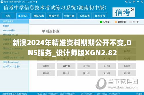 新澳2024年精準(zhǔn)資料期期公開不變,DNS服務(wù)_設(shè)計(jì)師版XGN2.82