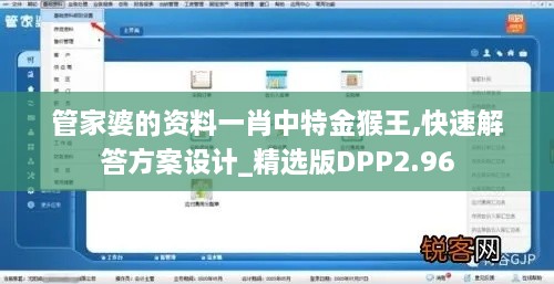 管家婆的資料一肖中特金猴王,快速解答方案設(shè)計(jì)_精選版DPP2.96