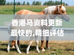 香港馬資料更新最快的,精細評估方案_Allergo版(意為輕快)PNL2.10