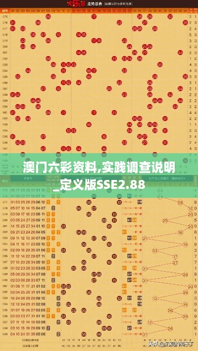 澳門六彩資料,實(shí)踐調(diào)查說明_定義版SSE2.88