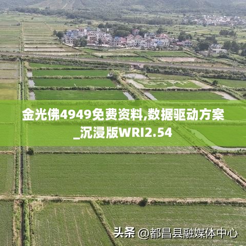 金光佛4949免費資料,數(shù)據(jù)驅(qū)動方案_沉浸版WRI2.54