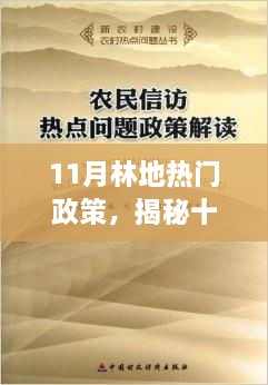 揭秘11月林地政策熱點(diǎn)，關(guān)注要點(diǎn)解析與熱門政策概覽