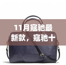 寇馳十一月全新力作深度評(píng)測(cè)與介紹，最新款式全解析