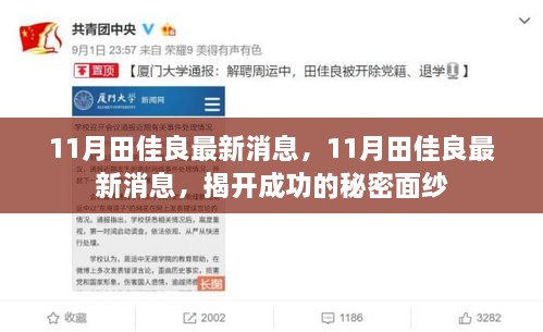 田佳良最新消息揭秘，成功背后的秘密面紗曝光