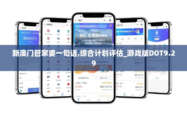 新澳門管家婆一句話,綜合計(jì)劃評估_游戲版DOT9.29