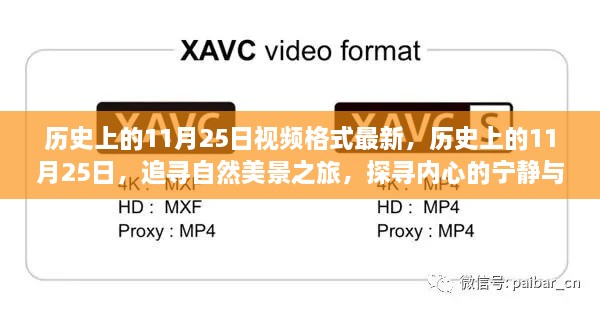 歷史上的11月25日，追尋自然美景之旅，探尋內心的寧靜與平和之旅的視頻格式更新發(fā)布