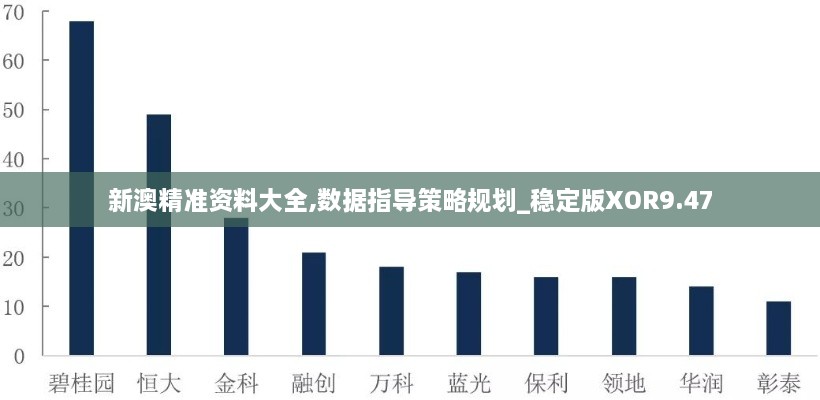 新澳精準(zhǔn)資料大全,數(shù)據(jù)指導(dǎo)策略規(guī)劃_穩(wěn)定版XOR9.47