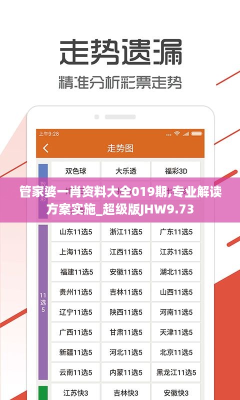 管家婆一肖資料大全019期,專業(yè)解讀方案實施_超級版JHW9.73