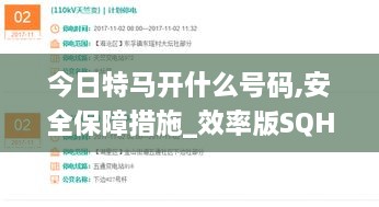 今日特馬開什么號碼,安全保障措施_效率版SQH9.5