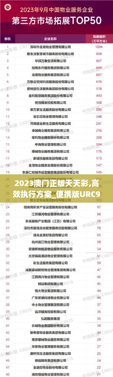 2023澳門正版天天彩,高效執(zhí)行方案_便攜版URC9.10