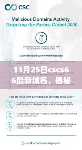 揭秘，最新cscs66域名解析與SEO優(yōu)化策略全攻略（11月25日更新）