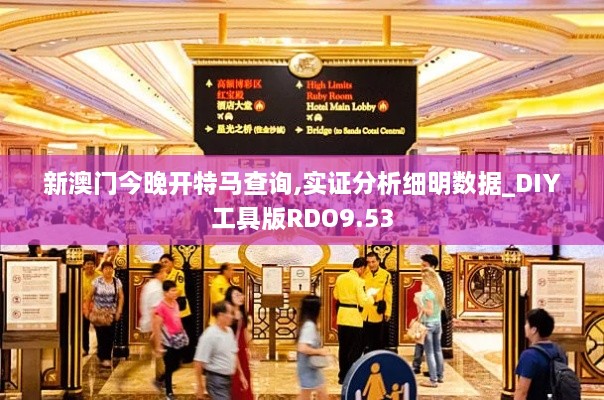 新澳門今晚開特馬查詢,實(shí)證分析細(xì)明數(shù)據(jù)_DIY工具版RDO9.53