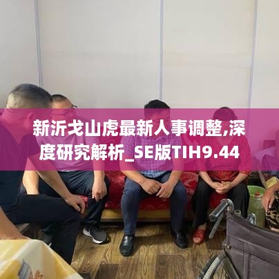 新沂戈山虎最新人事調(diào)整,深度研究解析_SE版TIH9.44