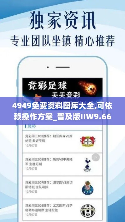4949免費(fèi)資料圖庫(kù)大全,可依賴操作方案_普及版IIW9.66