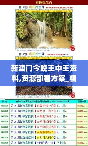 新澳門今晚王中王資料,資源部署方案_精英版FCQ9.41