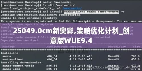 25049.0cm新奧彩,策略優(yōu)化計劃_創(chuàng)意版WUE9.4