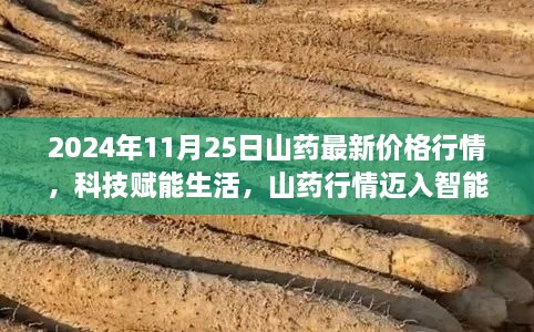 科技賦能下的山藥行情，解析2024年山藥最新價(jià)格行情及智能時(shí)代趨勢