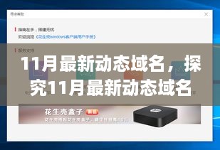 探究11月最新動(dòng)態(tài)域名，價(jià)值與爭(zhēng)議并存