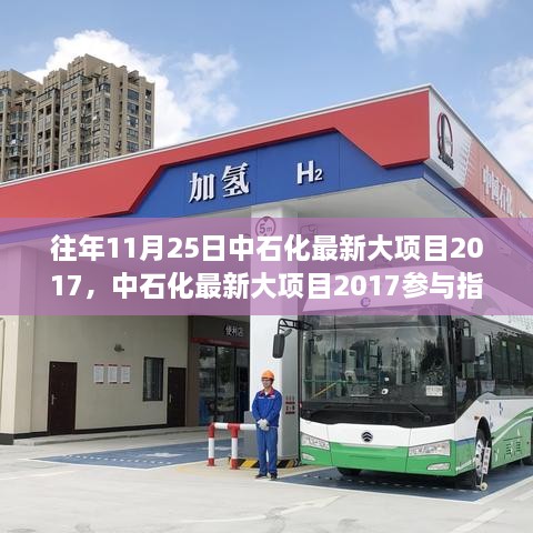 中石化最新大項(xiàng)目參與指南，揭秘任務(wù)詳解步驟與往年項(xiàng)目進(jìn)展分析