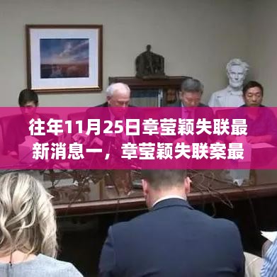 章瑩穎失聯(lián)案最新消息回顧，事件背景、進(jìn)展與影響分析