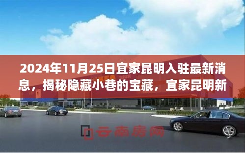 宜家昆明新分店入駐揭秘，探索獨(dú)特生活美學(xué)的寶藏小巷