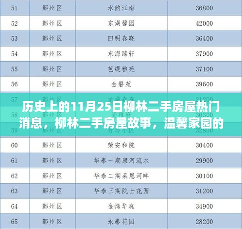柳林二手房屋故事，溫馨家園的奇遇與深厚友情——11月25日熱門(mén)消息回顧