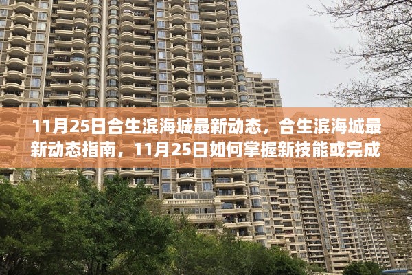 11月25日合生濱海城最新動態(tài)，掌握新技能與任務(wù)完成指南