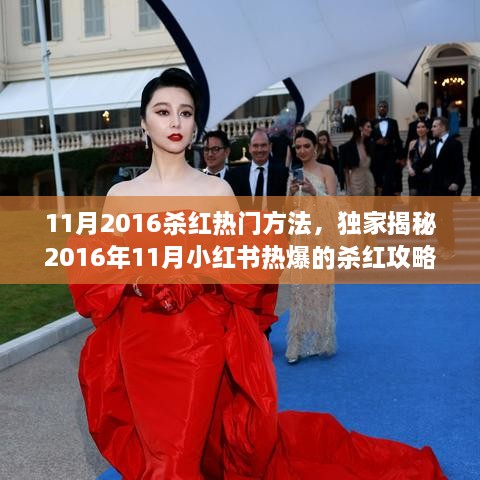 獨家揭秘，2016年11月小紅書殺紅攻略，掌握流量密碼輕松引領(lǐng)潮流！