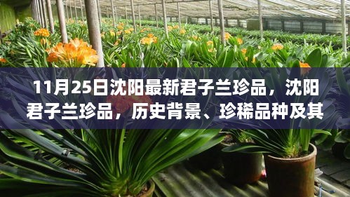 沈陽君子蘭珍品，歷史背景、珍稀品種與時(shí)代地位揭秘