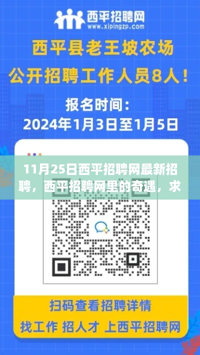 西平招聘網(wǎng)最新招聘，求職路上的溫暖奇遇記