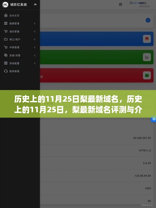 歷史上的11月25日，梨最新域名評測與介紹