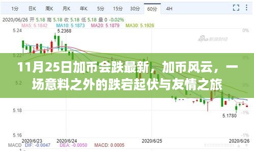 加幣風(fēng)云，意料之外的跌宕起伏與友情之旅（最新動態(tài)）