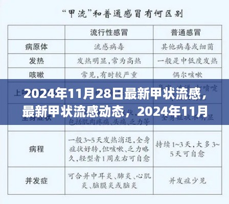 最新甲狀流感動態(tài)深度解析與應對策略（2024年11月28日版）