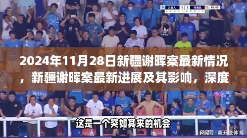新疆謝暉案最新進展深度解析，影響與觀點闡述