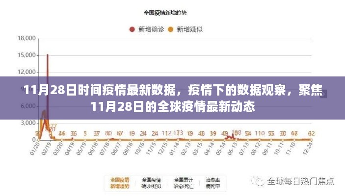 11月28日全球疫情最新動態(tài)數(shù)據(jù)報告，疫情下的觀察與聚焦