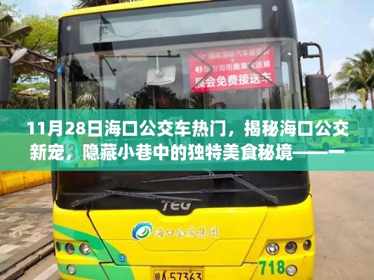 揭秘海口公交魅力，美食秘境與獨(dú)特小店之旅