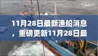 11月28日最新漁船消息揭秘，海洋豐收盛宴上演！