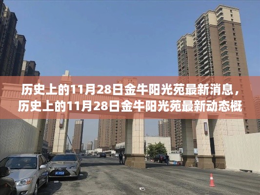 歷史上的11月28日金牛陽光苑最新動態(tài)概覽與消息更新